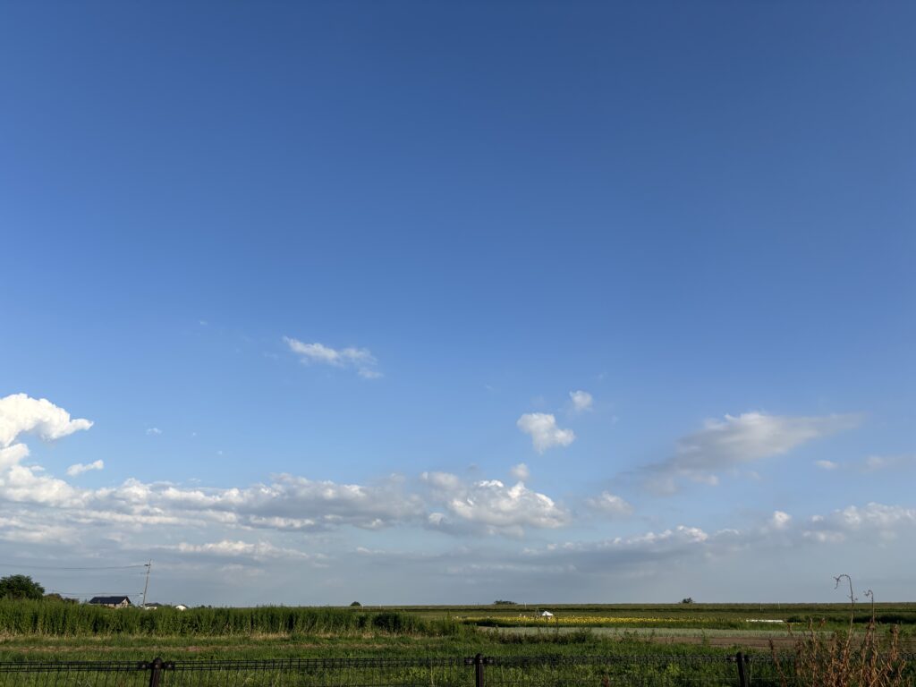 夏の空